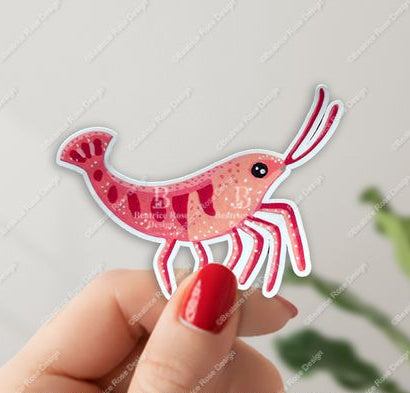 Hand holding a pink shrimp sticker against a neutral background